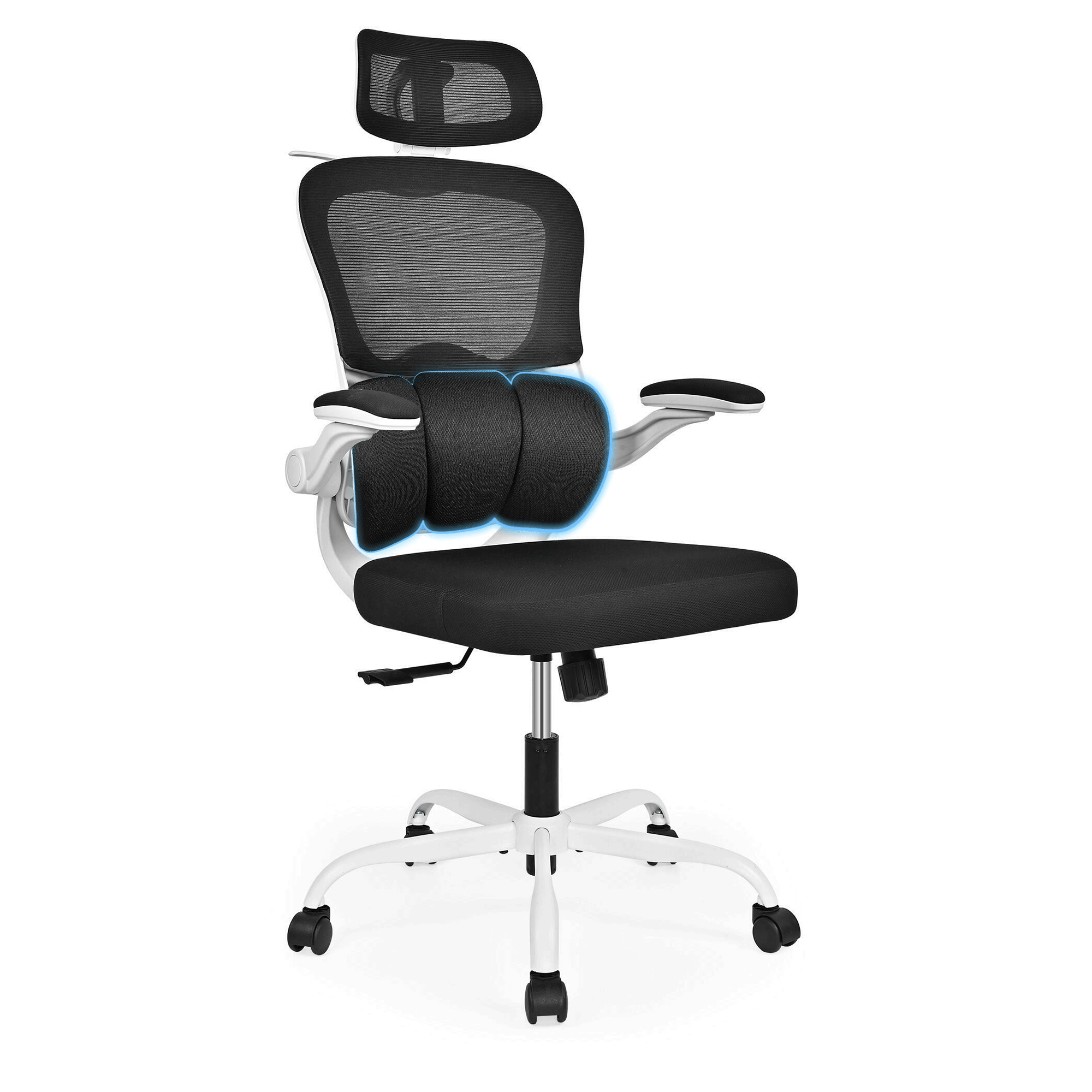 How to Choose the Perfect Office Chair for Posture & Productivity